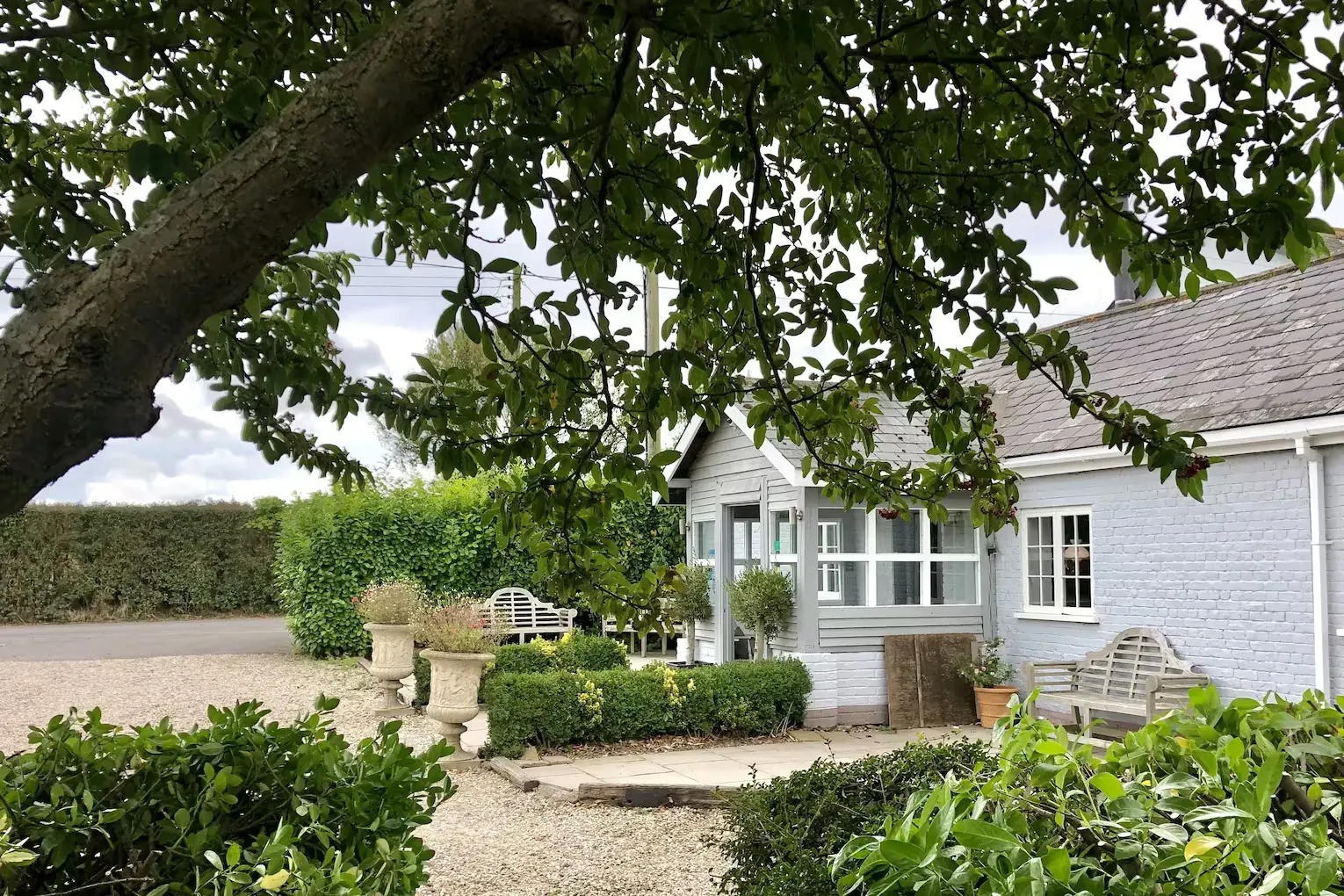 White weatherboarded buildings behind clipped box hedging, seen along a gravel path under the branches of a large tree.